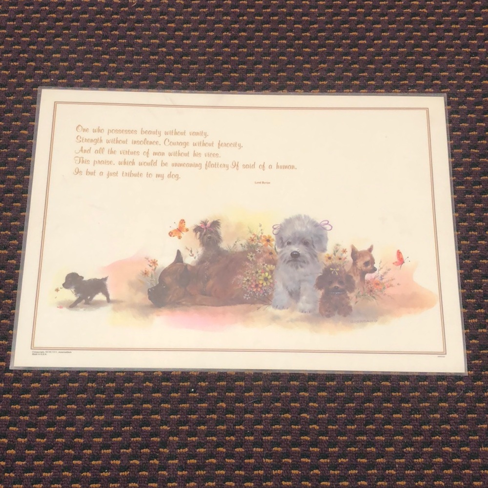 NWT Reversible Pet Bowl Dog food or water Plasticized Floor Placemat!